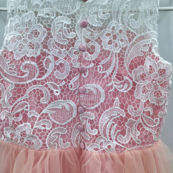Pink Party Dress for a Princess! White Lace Tulle Ballgown Easter Flower Girl - Picture 9 of 15